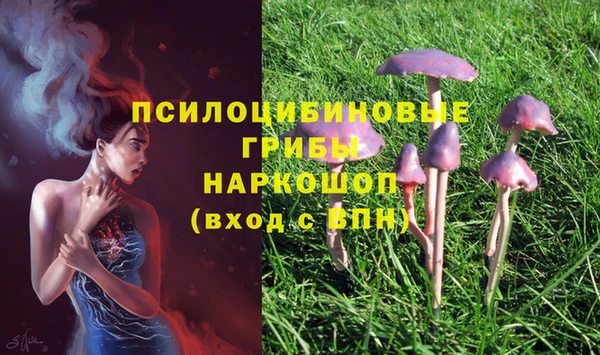 mdpv Балабаново