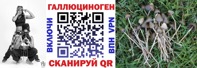 Купить закладки  Слободской  Галлюциногенные грибы прущие грибы 