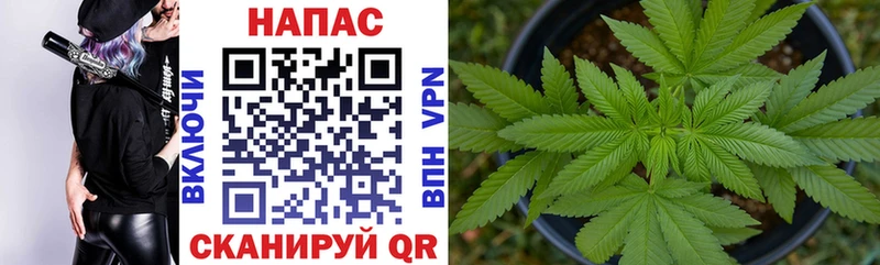 Купить Слободской Шишки марихуана план